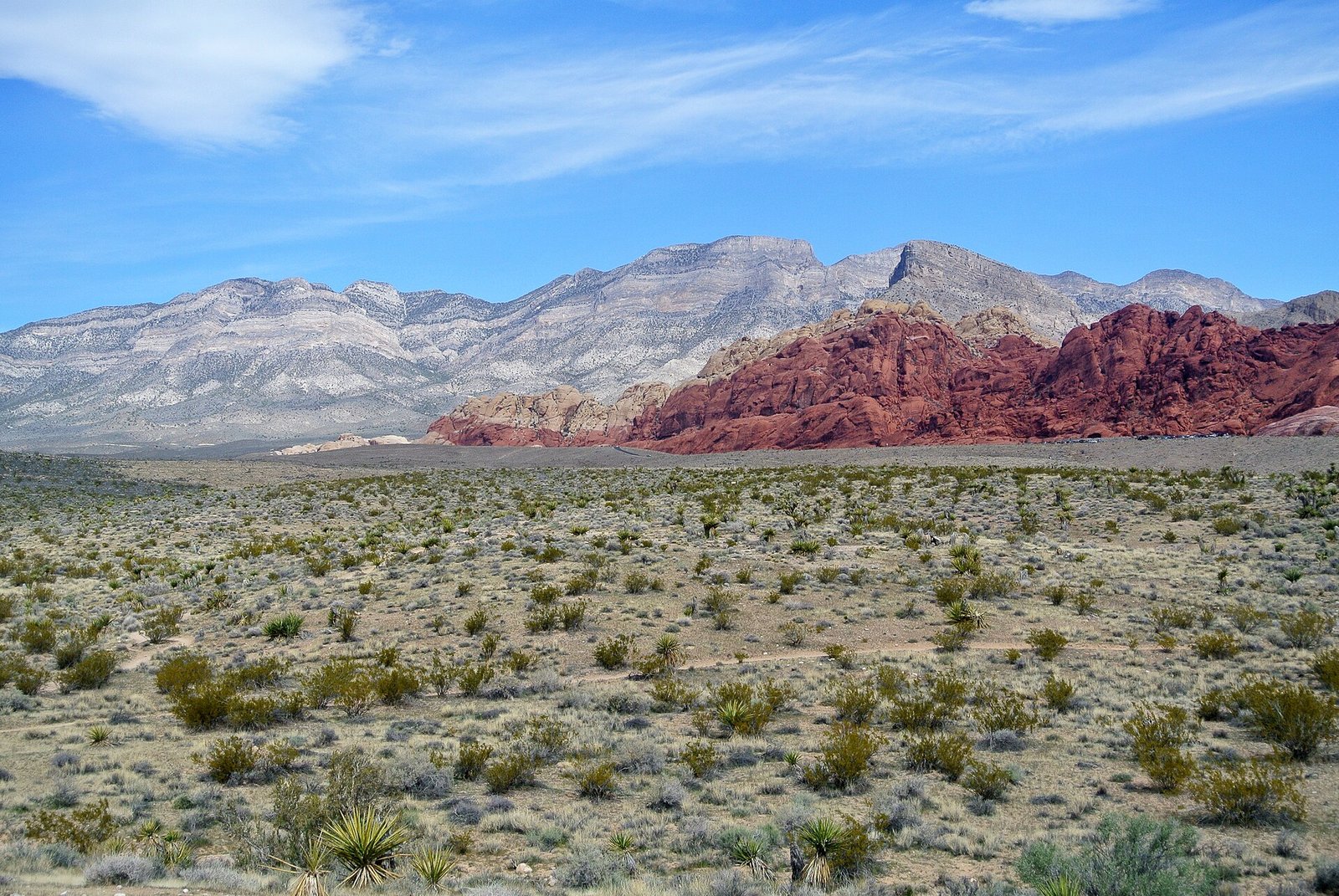 Formations de grès rouge du Red Rock Canyon, près de Las Vegas